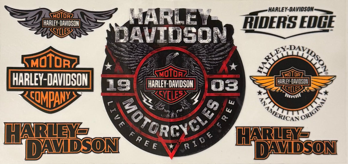 Harley #4