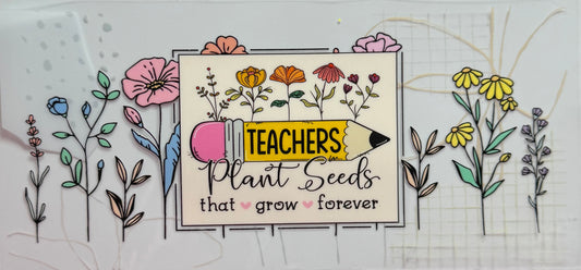 Teachers plant seed